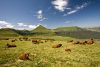 visiter le cantal camping Europe